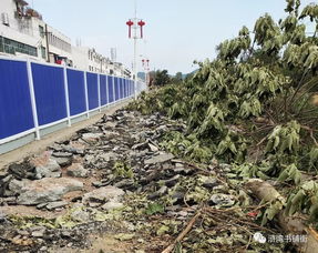 滸灣“一水兩岸”景觀工程正式啟動勘察，打造濱水生態新地標